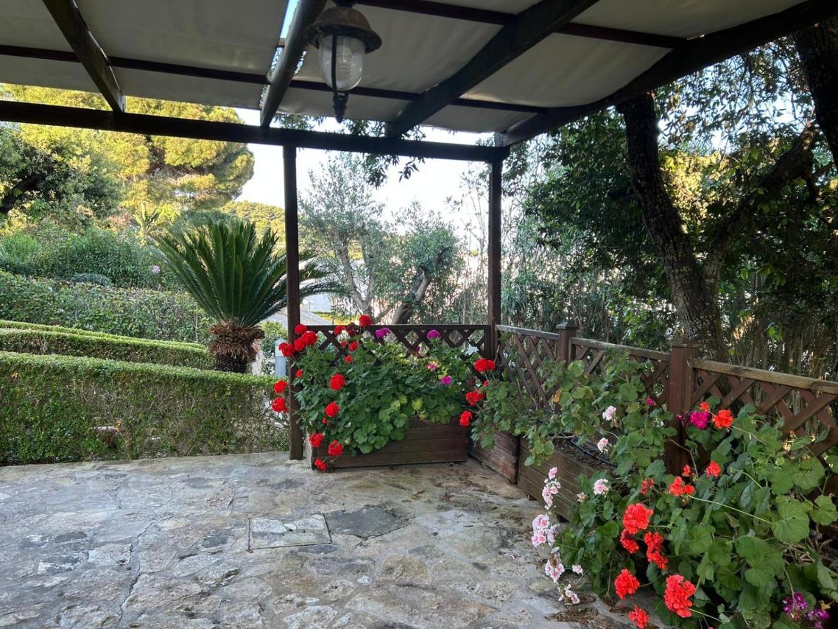 Villetta A Pochi Passi Dal Mare Santa Cesarea Terme Extérieur photo